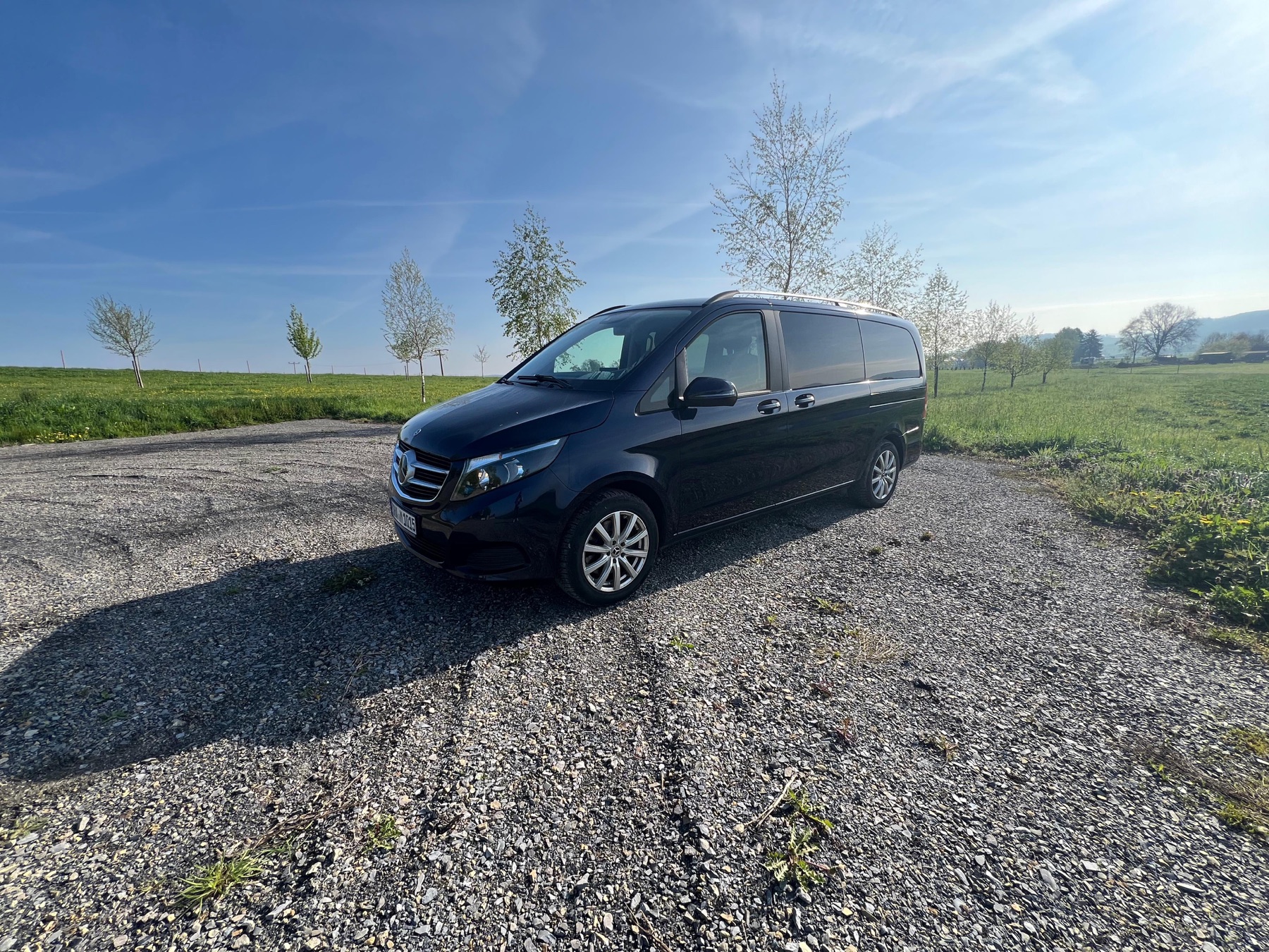 V 250 d Frontansicht